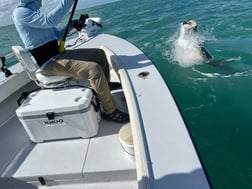Fishing in Boca Grande, Florida