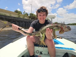 Fishing in Fort Lauderdale, Florida