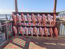 Fishing in Corpus Christi, Texas