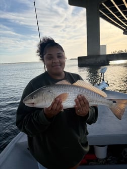 Fishing in Orange Beach, Alabama