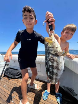 Fishing in San Diego, California