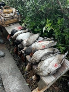 Hunting in Port O'Connor, Texas