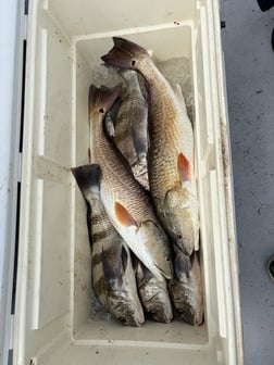 Fishing in Port Aransas, Texas
