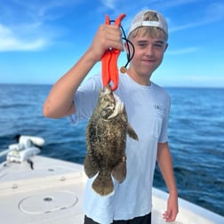 Tripletail Fishing in Pine Island, Florida