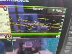 Fishing in Rogers, Arkansas