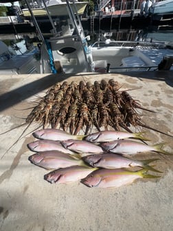 Fishing in Tavernier, Florida