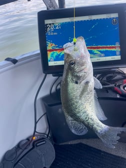 Fishing in Willis, Texas