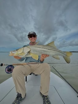 Fishing in Palmetto Bay, Florida