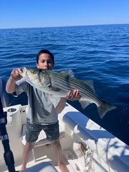 Fishing in Dennis, Massachusetts