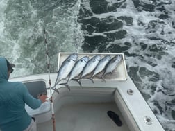 Fishing in Fort Lauderdale, Florida