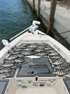 Fishing in Sarasota, Florida