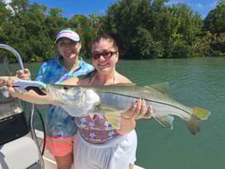 Fishing in St. Petersburg, Florida