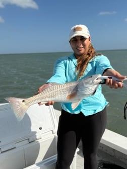 Fishing in Port Mansfield, Texas