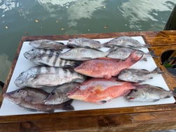 Fishing in St. Petersburg, Florida