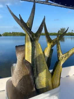 Fishing in Key West, Florida