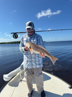 Fishing in Punta Gorda, Florida