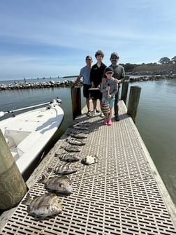 Fishing in Gulf Shores, Alabama