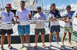 King Mackerel / Kingfish, Mahi Mahi / Dorado Fishing in Hillsboro Beach, Florida