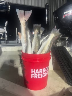 Fishing in Port O'Connor, Texas