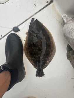 Fishing in Jacksonville, Florida