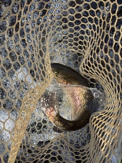 Fishing in Broken Bow, Oklahoma