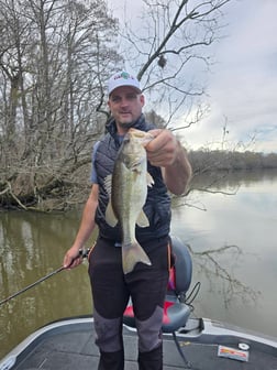 Fishing in Bruce, Florida