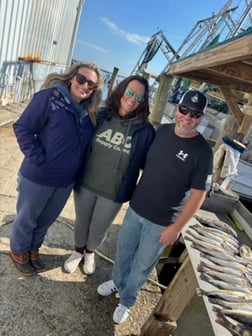 Fishing in New Orleans, Louisiana