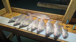 Fishing in South Padre Island, Texas