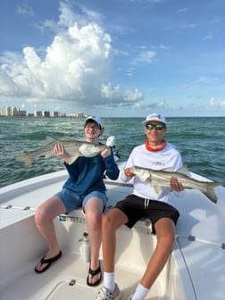 Fishing in Largo, Florida