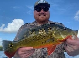 Peacock Bass Fishing in Palmetto Bay, Florida