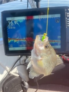 Fishing in Willis, Texas