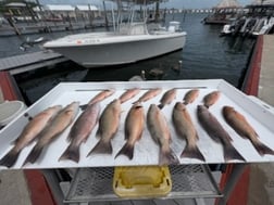 Fishing in Key West, Florida