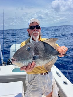 Fishing in Morehead City, North Carolina
