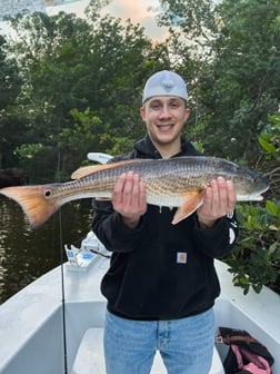 Fishing in Tampa, Florida