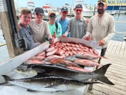 Fishing in Pensacola, Florida