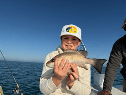 Fishing in Sarasota, Florida