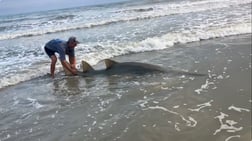 Fishing in New Smyrna Beach, Florida