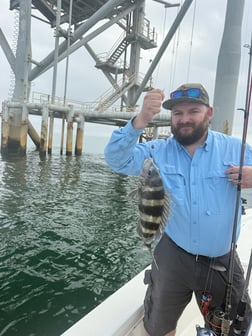 Fishing in Gulf Shores, Alabama