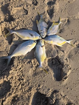 Fishing in Melbourne Beach, Florida