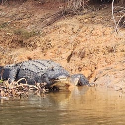 Fishing in Alba, Texas