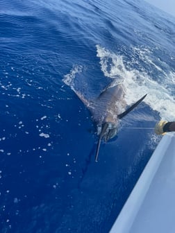 Fishing in Kaiminani, Hawaii