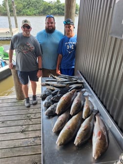 Fishing in Lafitte, Louisiana