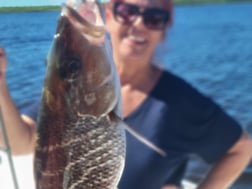Fishing in Port Orange, Florida
