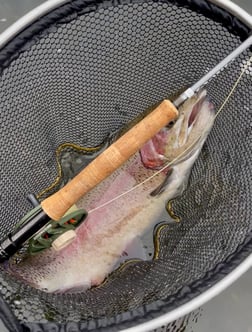 Fishing in Hume, California