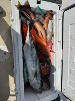 Fishing in San Diego, California