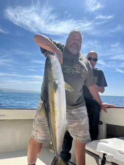 Fishing in Dana Point, California