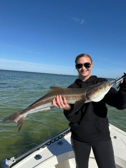 Fishing in Ruskin, Florida