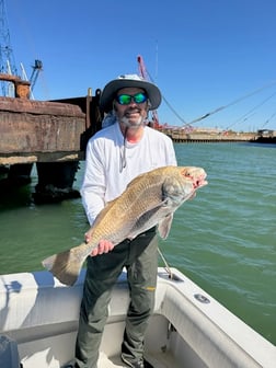 Fishing in Port Isabel, Texas