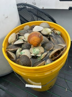 Fishing in St. Petersburg, Florida