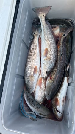 Fishing in Port Aransas, Texas